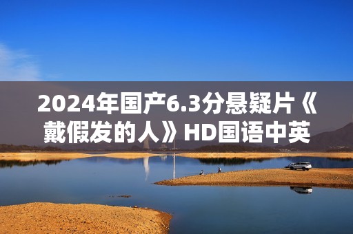 2024年国产6.3分悬疑片《戴假发的人》HD国语中英双字