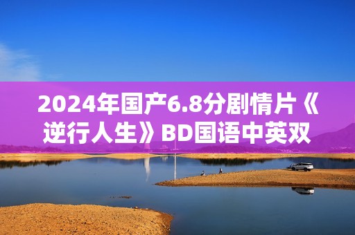 2024年国产6.8分剧情片《逆行人生》BD国语中英双字
