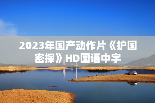 2023年国产动作片《护国密探》HD国语中字