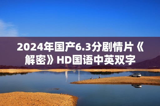 2024年国产6.3分剧情片《解密》HD国语中英双字
