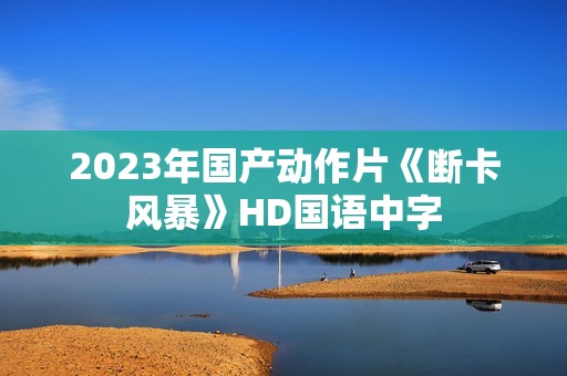 2023年国产动作片《断卡风暴》HD国语中字