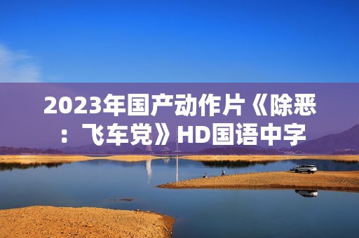 2023年国产动作片《除恶：飞车党》HD国语中字