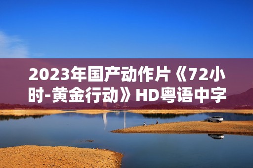 2023年国产动作片《72小时-黄金行动》HD粤语中字