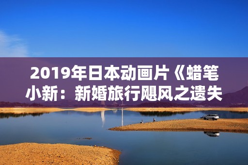 2019年日本动画片《蜡笔小新：新婚旅行飓风之遗失的野原广志》BD国粤日语中字