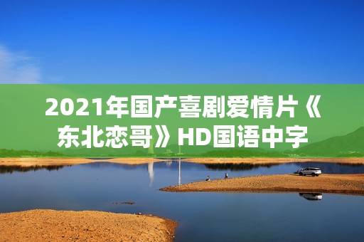 2021年国产喜剧爱情片《东北恋哥》HD国语中字
