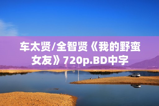 车太贤/全智贤《我的野蛮女友》720p.BD中字
