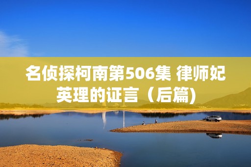 名侦探柯南第506集 律师妃英理的证言（后篇)