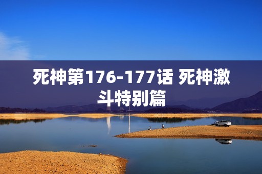 死神第176-177话 死神激斗特别篇