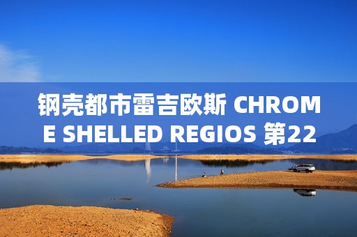 钢壳都市雷吉欧斯 CHROME SHELLED REGIOS 第22话