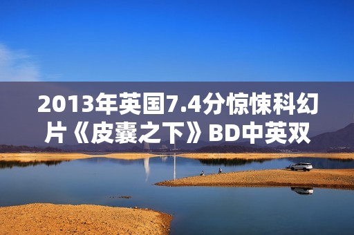 2013年英国7.4分惊悚科幻片《皮囊之下》BD中英双字