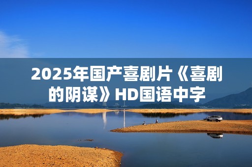 2025年国产喜剧片《喜剧的阴谋》HD国语中字