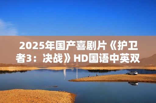 2025年国产喜剧片《护卫者3：决战》HD国语中英双字
