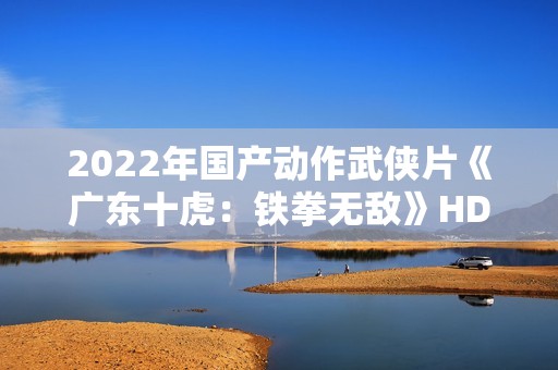2022年国产动作武侠片《广东十虎：铁拳无敌》HD国语中字