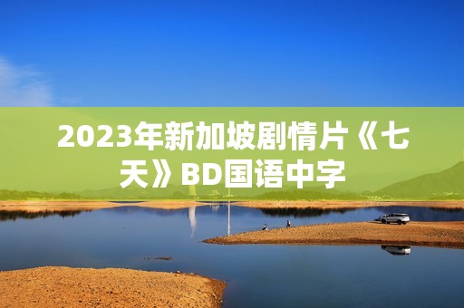 2023年新加坡剧情片《七天》BD国语中字