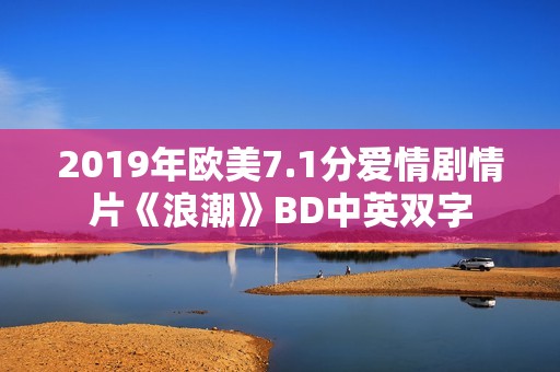 2019年欧美7.1分爱情剧情片《浪潮》BD中英双字