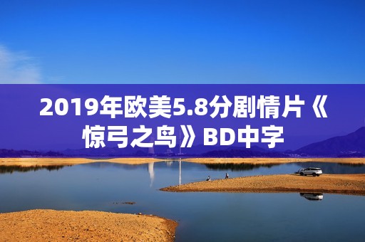 2019年欧美5.8分剧情片《惊弓之鸟》BD中字