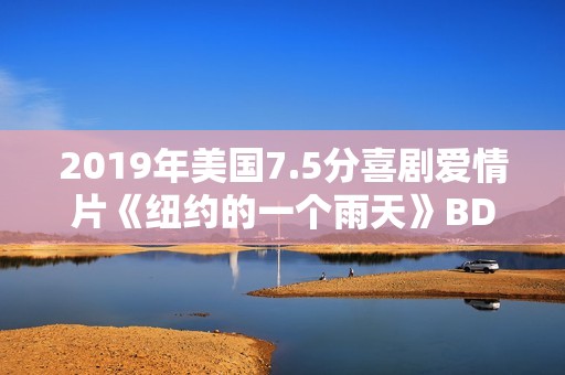 2019年美国7.5分喜剧爱情片《纽约的一个雨天》BD中字