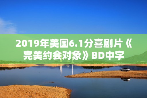 2019年美国6.1分喜剧片《完美约会对象》BD中字