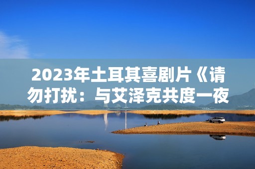2023年土耳其喜剧片《请勿打扰：与艾泽克共度一夜》BD土耳其语中字
