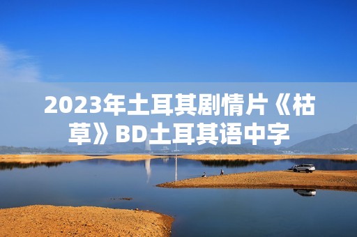 2023年土耳其剧情片《枯草》BD土耳其语中字