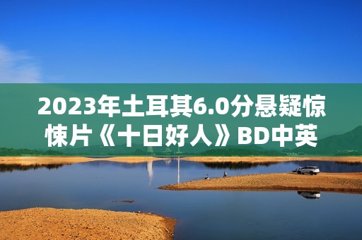 2023年土耳其6.0分悬疑惊悚片《十日好人》BD中英双字