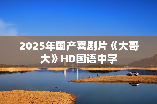 2025年国产喜剧片《大哥大》HD国语中字