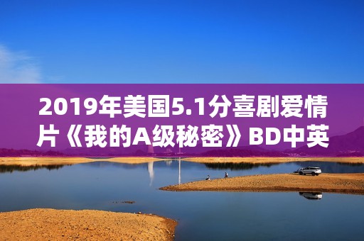 2019年美国5.1分喜剧爱情片《我的A级秘密》BD中英双字