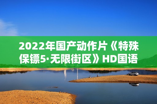 2022年国产动作片《特殊保镖5·无限街区》HD国语中字