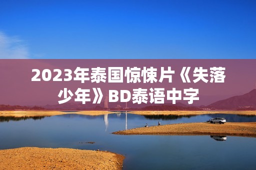 2023年泰国惊悚片《失落少年》BD泰语中字