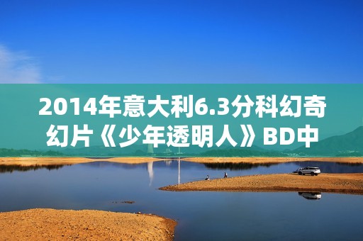 2014年意大利6.3分科幻奇幻片《少年透明人》BD中英双字