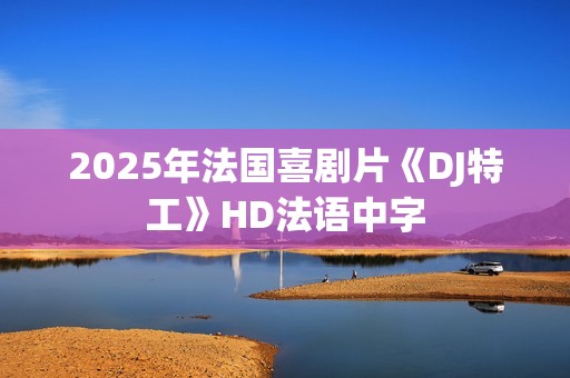 2025年法国喜剧片《DJ特工》HD法语中字
