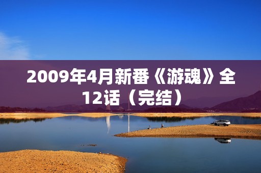 2009年4月新番《游魂》全12话（完结）