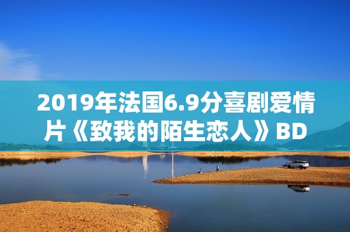 2019年法国6.9分喜剧爱情片《致我的陌生恋人》BD中字 2019年法国6.9分喜剧爱情片《致我的陌生恋人》BD中字