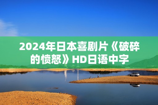 2024年日本喜剧片《破碎的愤怒》HD日语中字
