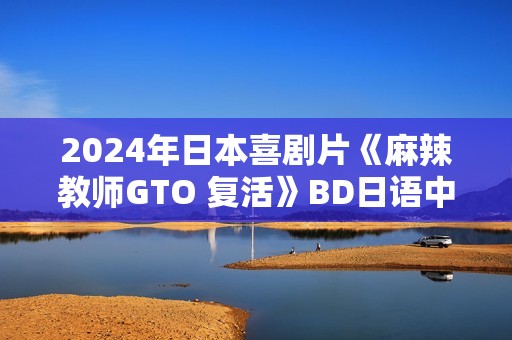 2024年日本喜剧片《麻辣教师GTO 复活》BD日语中字 2024年日本喜剧片《麻辣教师GTO 复活》BD日语中字