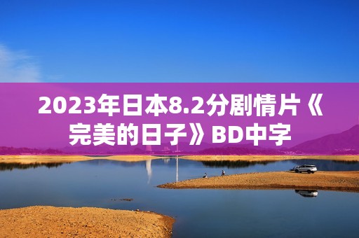 2023年日本8.2分剧情片《完美的日子》BD中字