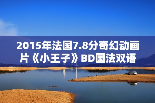 2015年法国7.8分奇幻动画片《小王子》BD国法双语中字