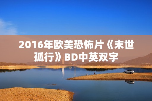 2016年欧美恐怖片《末世孤行》BD中英双字
