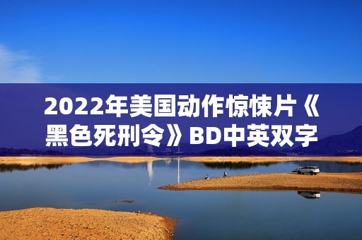 2022年美国动作惊悚片《黑色死刑令》BD中英双字