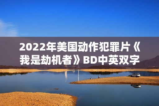2022年美国动作犯罪片《我是劫机者》BD中英双字