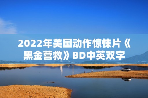2022年美国动作惊悚片《黑金营救》BD中英双字