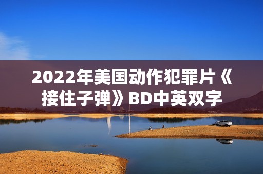 2022年美国动作犯罪片《接住子弹》BD中英双字