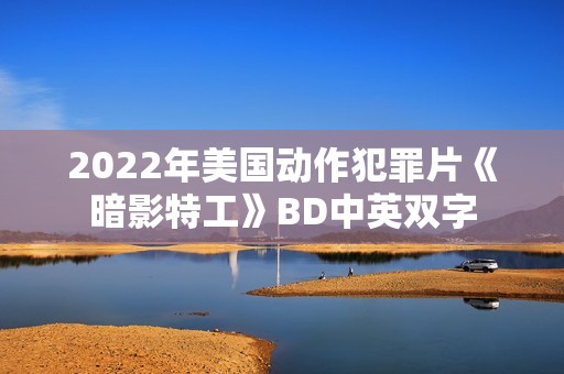 2022年美国动作犯罪片《暗影特工》BD中英双字