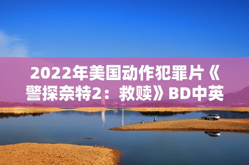2022年美国动作犯罪片《警探奈特2：救赎》BD中英双字