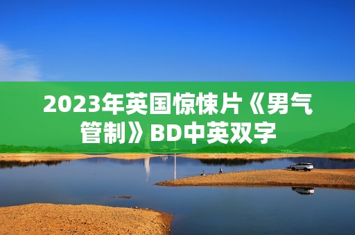 2023年英国惊悚片《男气管制》BD中英双字