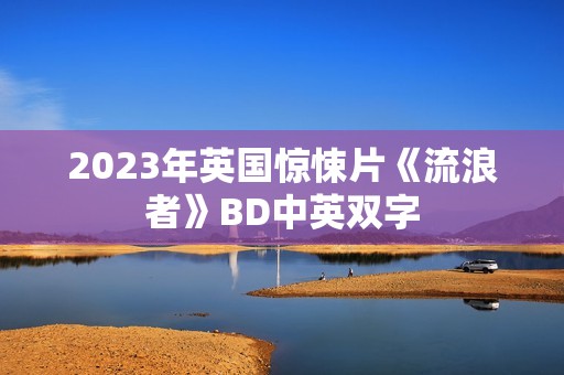 2023年英国惊悚片《流浪者》BD中英双字