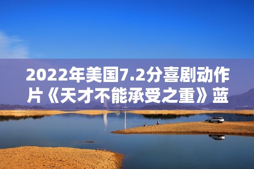 2022年美国7.2分喜剧动作片《天才不能承受之重》蓝光中英双字
