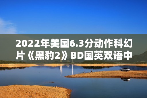 2022年美国6.3分动作科幻片《黑豹2》BD国英双语中英双字
