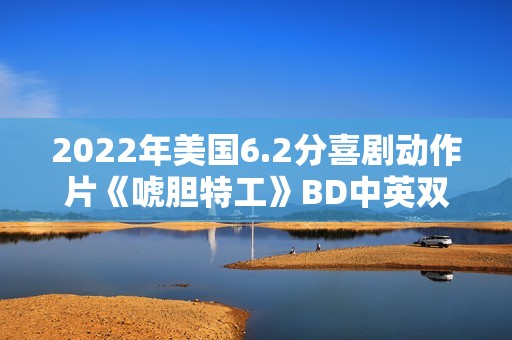 2022年美国6.2分喜剧动作片《唬胆特工》BD中英双字