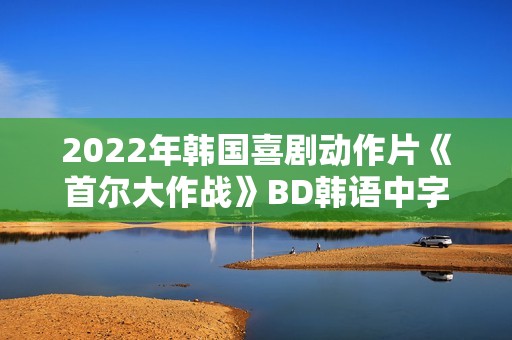 2022年韩国喜剧动作片《首尔大作战》BD韩语中字